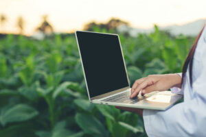 eSocial